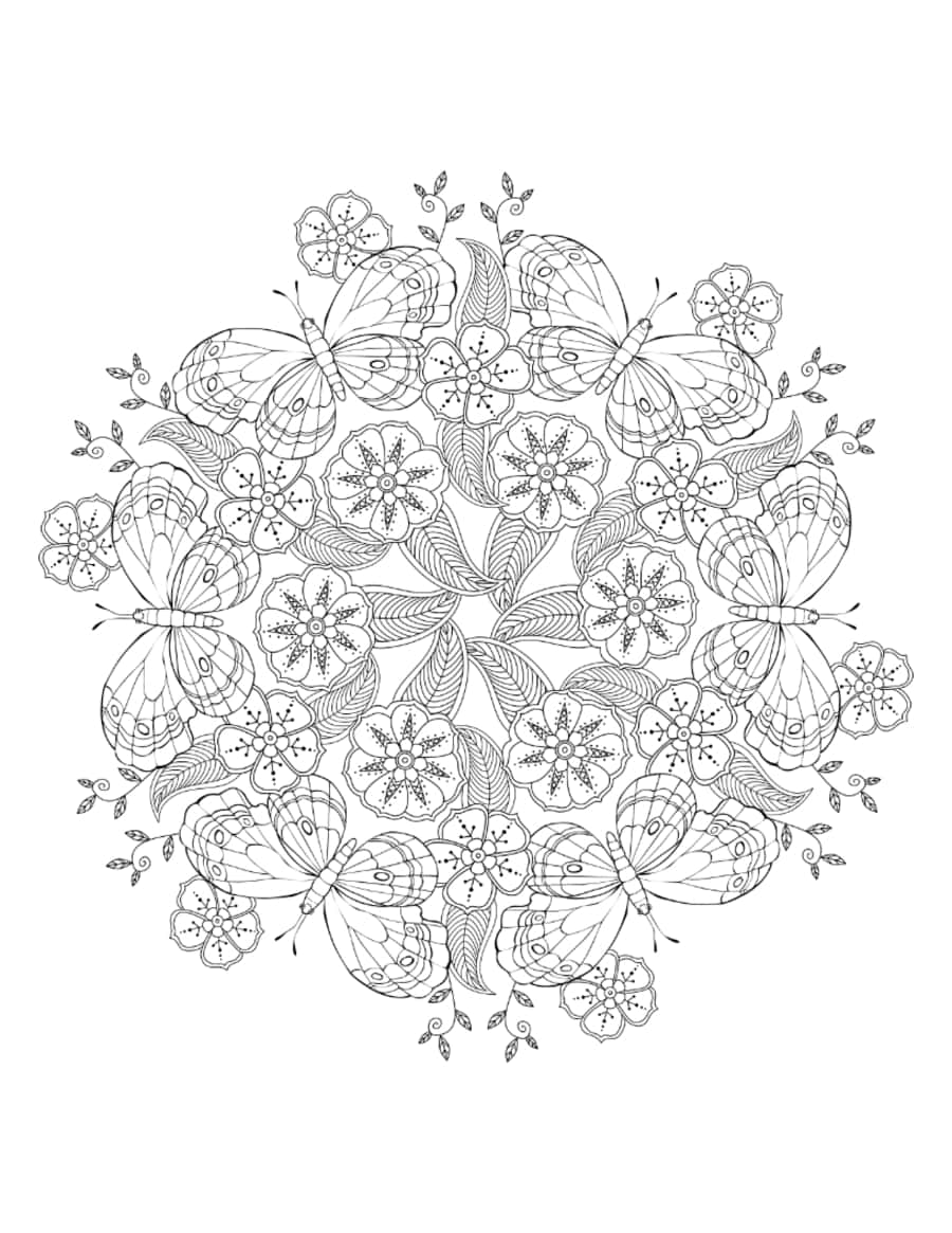 Butterfly Detailed Flowers Butterflies Mandala For Adults Kids Coloring Pages Pdf Free Vectors